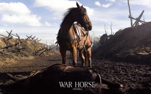 War-Horse-movie-900x562